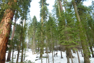 Filename=P1030193.JPG
Filesize=5076KiB
Dimensions=4320x2880
Date added=Sep 23, 2019 P1030193.JPG