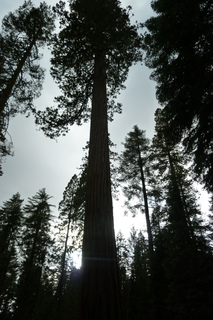 Filename=P1030194.JPG
Filesize=4479KiB
Dimensions=2880x4320
Date added=Sep 23, 2019 P1030194.JPG