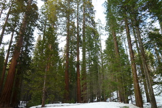 Filename=P1030195.JPG
Filesize=5305KiB
Dimensions=4320x2880
Date added=Sep 23, 2019 P1030195.JPG