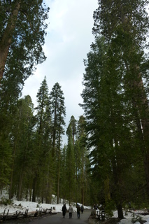 Filename=P1030196.JPG
Filesize=4586KiB
Dimensions=2880x4320
Date added=Sep 23, 2019 P1030196.JPG