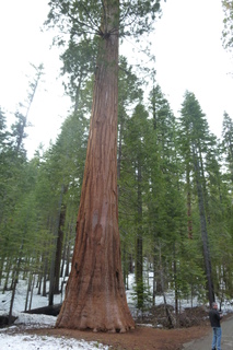 Filename=P1030197.JPG
Filesize=4466KiB
Dimensions=2880x4320
Date added=Sep 23, 2019 P1030197.JPG