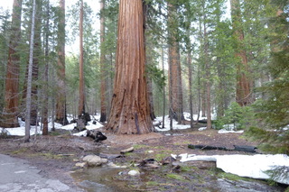 Filename=P1030198.JPG
Filesize=4998KiB
Dimensions=4320x2880
Date added=Sep 23, 2019 P1030198.JPG