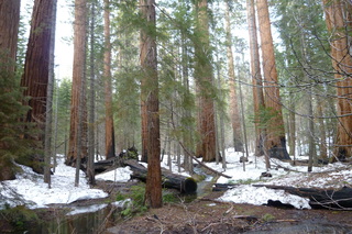 Filename=P1030199.JPG
Filesize=5631KiB
Dimensions=4320x2880
Date added=Sep 23, 2019 P1030199.JPG