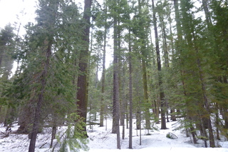 Filename=P1030201.JPG
Filesize=5525KiB
Dimensions=4320x2880
Date added=Sep 23, 2019 P1030201.JPG