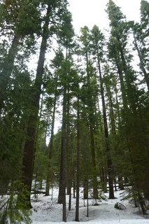 Filename=P1030202.JPG
Filesize=4664KiB
Dimensions=2880x4320
Date added=Sep 23, 2019 P1030202.JPG