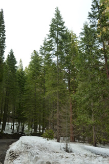 Filename=P1030205.JPG
Filesize=4494KiB
Dimensions=2880x4320
Date added=Sep 23, 2019 P1030205.JPG