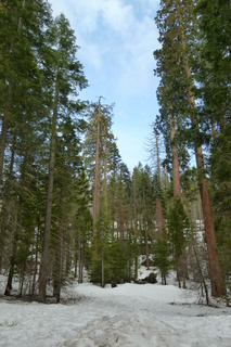 Filename=P1030206.JPG
Filesize=4666KiB
Dimensions=2880x4320
Date added=Sep 23, 2019 P1030206.JPG