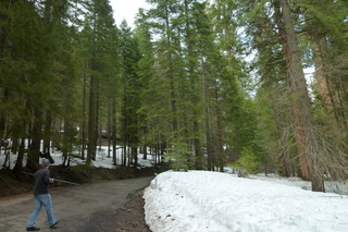 Filename=P1030208.JPG
Filesize=5333KiB
Dimensions=4320x2880
Date added=Sep 23, 2019 P1030208.JPG