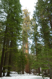 Filename=P1030209.JPG
Filesize=4296KiB
Dimensions=2880x4320
Date added=Sep 23, 2019 P1030209.JPG