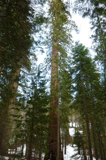 Filename=P1030211.JPG
Filesize=4329KiB
Dimensions=2880x4320
Date added=Sep 23, 2019 P1030211.JPG