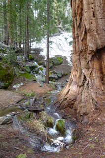 Filename=P1030213.JPG
Filesize=4331KiB
Dimensions=2880x4320
Date added=Sep 23, 2019 P1030213.JPG