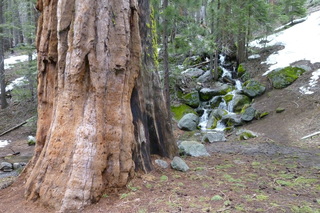 Filename=P1030214.JPG
Filesize=5684KiB
Dimensions=4320x2880
Date added=Sep 23, 2019 P1030214.JPG