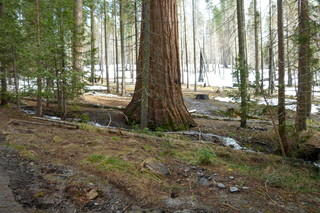 Filename=P1030218.JPG
Filesize=5186KiB
Dimensions=4320x2880
Date added=Sep 23, 2019 P1030218.JPG