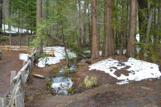 Filename=P1030220.JPG
Filesize=4862KiB
Dimensions=4320x2880
Date added=Sep 23, 2019 P1030220.JPG