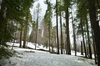 Filename=P1030221.JPG
Filesize=5140KiB
Dimensions=4320x2880
Date added=Sep 23, 2019 P1030221.JPG