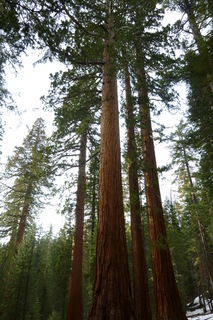 Filename=P1030222.JPG
Filesize=4299KiB
Dimensions=2880x4320
Date added=Sep 23, 2019 P1030222.JPG