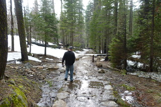 Filename=P1030223.JPG
Filesize=4989KiB
Dimensions=4320x2880
Date added=Sep 23, 2019 P1030223.JPG