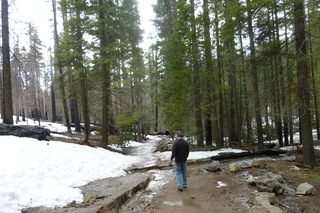 Filename=P1030226.JPG
Filesize=4851KiB
Dimensions=4320x2880
Date added=Sep 23, 2019 P1030226.JPG