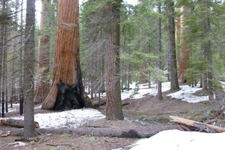 Filename=P1030227.JPG
Filesize=5770KiB
Dimensions=4320x2880
Date added=Sep 23, 2019 P1030227.JPG