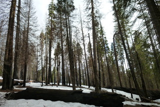 Filename=P1030232.JPG
Filesize=5289KiB
Dimensions=4320x2880
Date added=Sep 23, 2019 P1030232.JPG