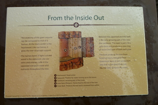 Filename=P1030235.JPG
Filesize=4956KiB
Dimensions=4320x2880
Date added=Sep 23, 2019 P1030235.JPG