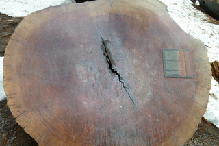 Filename=P1030236.JPG
Filesize=5146KiB
Dimensions=4320x2880
Date added=Sep 23, 2019 P1030236.JPG