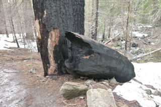 Filename=P1030238.JPG
Filesize=5285KiB
Dimensions=4320x2880
Date added=Sep 23, 2019 P1030238.JPG