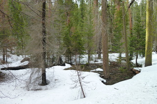 Filename=P1030242.JPG
Filesize=5054KiB
Dimensions=4320x2880
Date added=Sep 23, 2019 P1030242.JPG