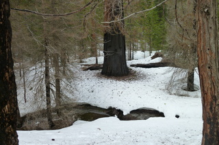 Filename=P1030243.JPG
Filesize=5345KiB
Dimensions=4320x2880
Date added=Sep 23, 2019 P1030243.JPG