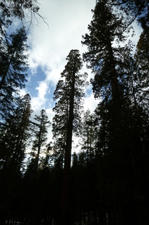 Filename=P1030247.JPG
Filesize=4489KiB
Dimensions=2880x4320
Date added=Sep 23, 2019 P1030247.JPG