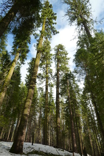 Filename=P1030249.JPG
Filesize=4441KiB
Dimensions=2880x4320
Date added=Sep 23, 2019 P1030249.JPG