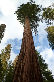 Filename=P1030254.JPG
Filesize=4391KiB
Dimensions=2880x4320
Date added=Sep 23, 2019 P1030254.JPG