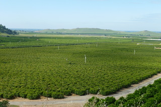 Filename=P1030261.JPG
Filesize=4722KiB
Dimensions=4320x2880
Date added=Sep 23, 2019 P1030261.JPG