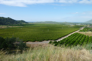 Filename=P1030262.JPG
Filesize=5180KiB
Dimensions=4320x2880
Date added=Sep 23, 2019 P1030262.JPG