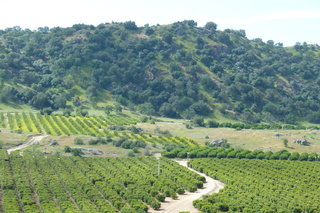 Filename=P1030263.JPG
Filesize=5500KiB
Dimensions=4320x2880
Date added=Sep 23, 2019 P1030263.JPG