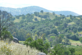 Filename=P1030264.JPG
Filesize=5337KiB
Dimensions=4320x2880
Date added=Sep 23, 2019 P1030264.JPG