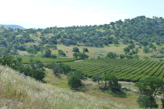 Filename=P1030265.JPG
Filesize=5259KiB
Dimensions=4320x2880
Date added=Sep 23, 2019 P1030265.JPG