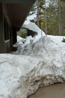 Filename=P1030266.JPG
Filesize=4360KiB
Dimensions=2880x4320
Date added=Sep 23, 2019 P1030266.JPG