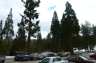 Filename=P1030267.JPG
Filesize=5050KiB
Dimensions=4320x2880
Date added=Sep 23, 2019 P1030267.JPG