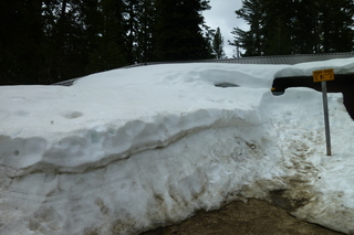 Filename=P1030268.JPG
Filesize=5133KiB
Dimensions=4320x2880
Date added=Sep 23, 2019 P1030268.JPG