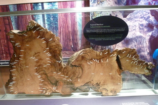 Filename=P1030269.JPG
Filesize=5358KiB
Dimensions=4320x2880
Date added=Sep 23, 2019 P1030269.JPG