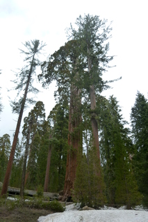 Filename=P1030271.JPG
Filesize=4590KiB
Dimensions=2880x4320
Date added=Sep 23, 2019 P1030271.JPG