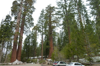 Filename=P1030272.JPG
Filesize=5176KiB
Dimensions=4320x2880
Date added=Sep 23, 2019 P1030272.JPG