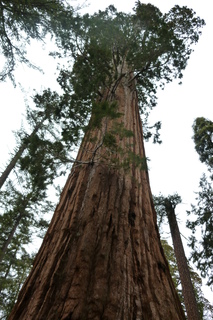 Filename=P1030274.JPG
Filesize=4533KiB
Dimensions=2880x4320
Date added=Sep 23, 2019 P1030274.JPG