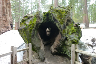 Filename=P1030277.JPG
Filesize=5490KiB
Dimensions=4320x2880
Date added=Sep 23, 2019 P1030277.JPG