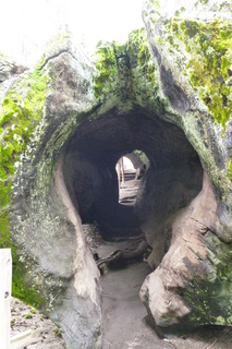 Filename=P1030279.JPG
Filesize=4509KiB
Dimensions=2880x4320
Date added=Sep 23, 2019 P1030279.JPG