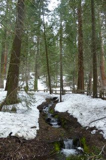 Filename=P1030284.JPG
Filesize=4465KiB
Dimensions=2880x4320
Date added=Sep 23, 2019 P1030284.JPG