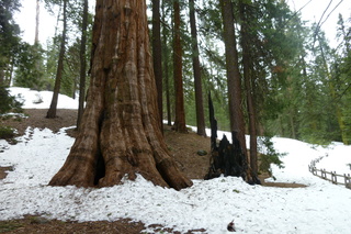 Filename=P1030285.JPG
Filesize=5287KiB
Dimensions=4320x2880
Date added=Sep 23, 2019 P1030285.JPG