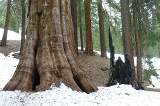 Filename=P1030286.JPG
Filesize=5501KiB
Dimensions=4320x2880
Date added=Sep 23, 2019 P1030286.JPG