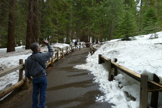 Filename=P1030290.JPG
Filesize=5249KiB
Dimensions=4320x2880
Date added=Sep 23, 2019 P1030290.JPG